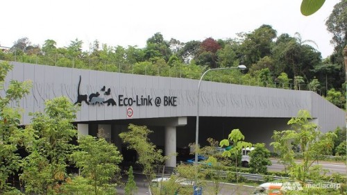 eco-link