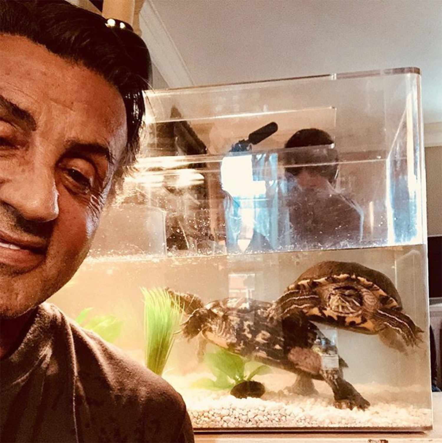 Sylvester Stallone și cele 2 țestoase Sursa foto People