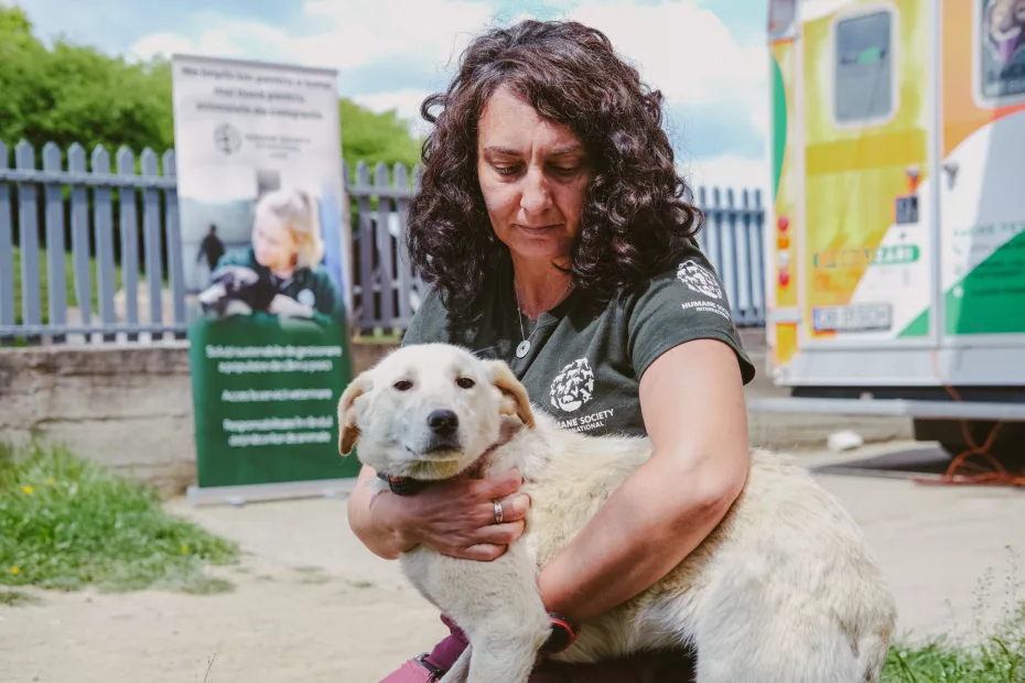 Consiliul Județean Ilfov, prin Direcția Protecția Animalelor, a încheiat un parteneriat pentru binele comunității împreună cu organizația internațională de protecție a animalelor, Humane Society International / Europe.