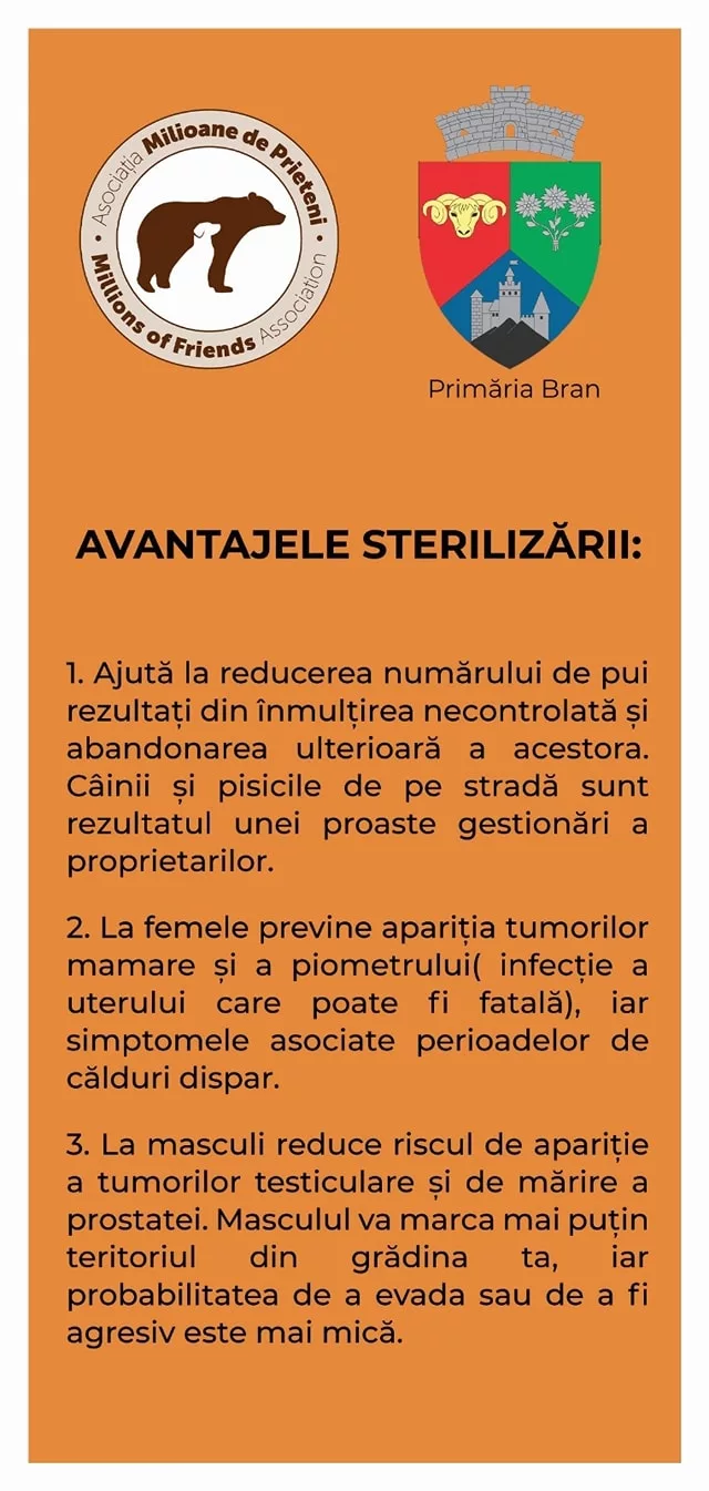 Locuitorii din Bran îşi pot steriliza gratuit câinii şi pisicile