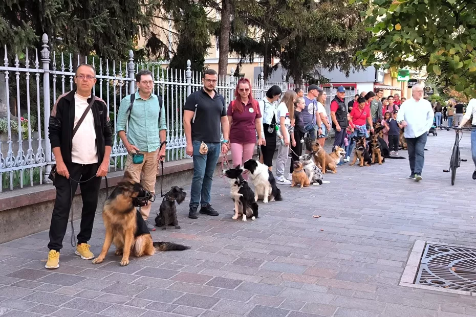 defilare cu caini la oradea