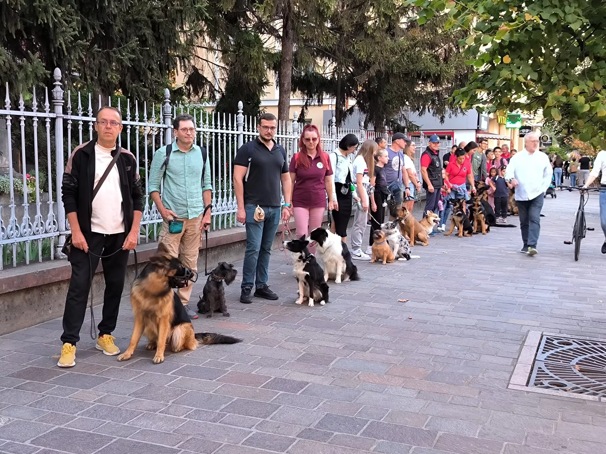 defilare cu caini la oradea