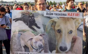 protest in istanbul luati-va mainile de pe animalele noastre