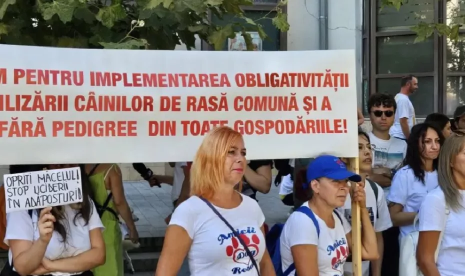 protest la cluj privind eutanasierea animalelor fără stăpân