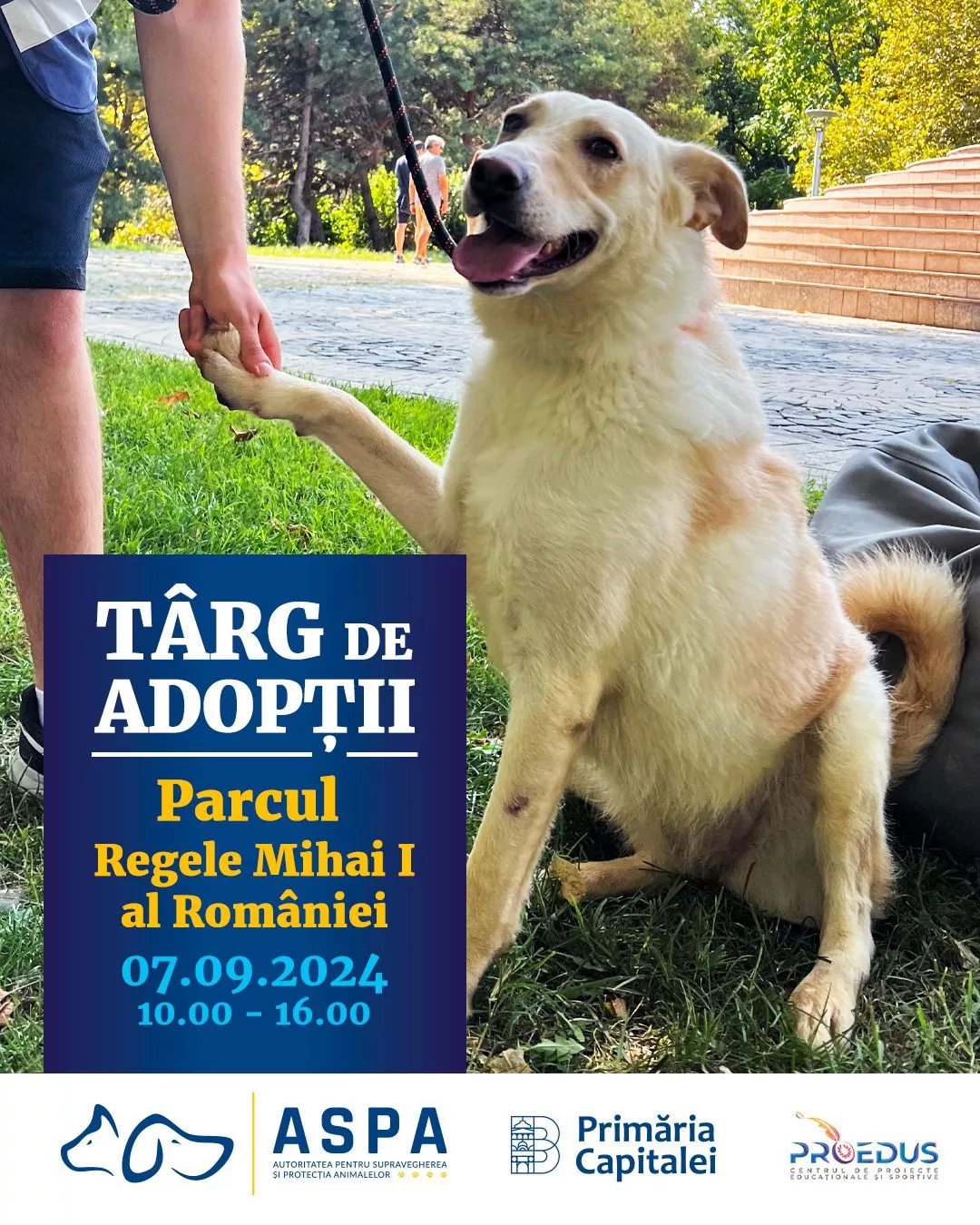 Sâmbătă, 7 septembrie, începând cu ora 10.00 puteți cunoaște 15 căței frumoși și prietenoși, pregătiți să fie adoptați