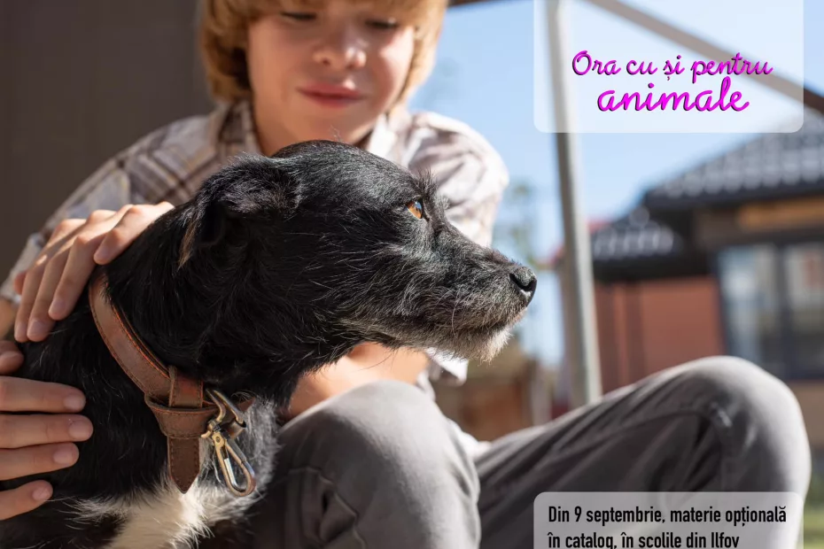 „Ora cu și pentru animale”