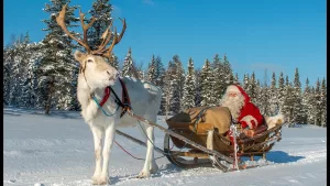 Rovaniemi (Laponia):lumea fascinantă a renilor și a lui Moș Crăciun