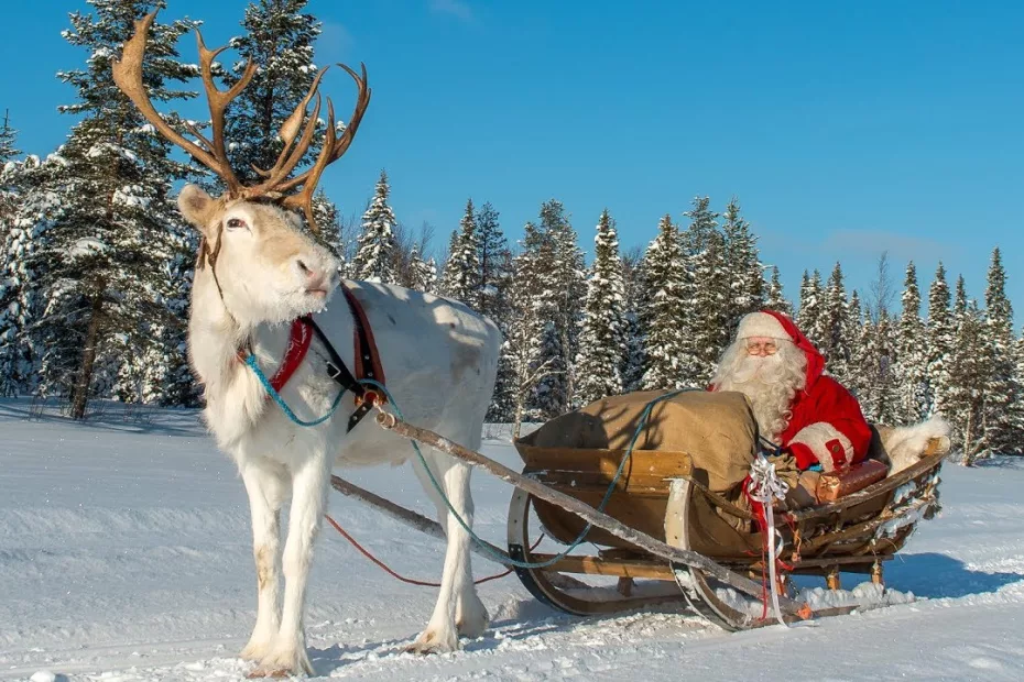 Rovaniemi (Laponia):lumea fascinantă a renilor și a lui Moș Crăciun