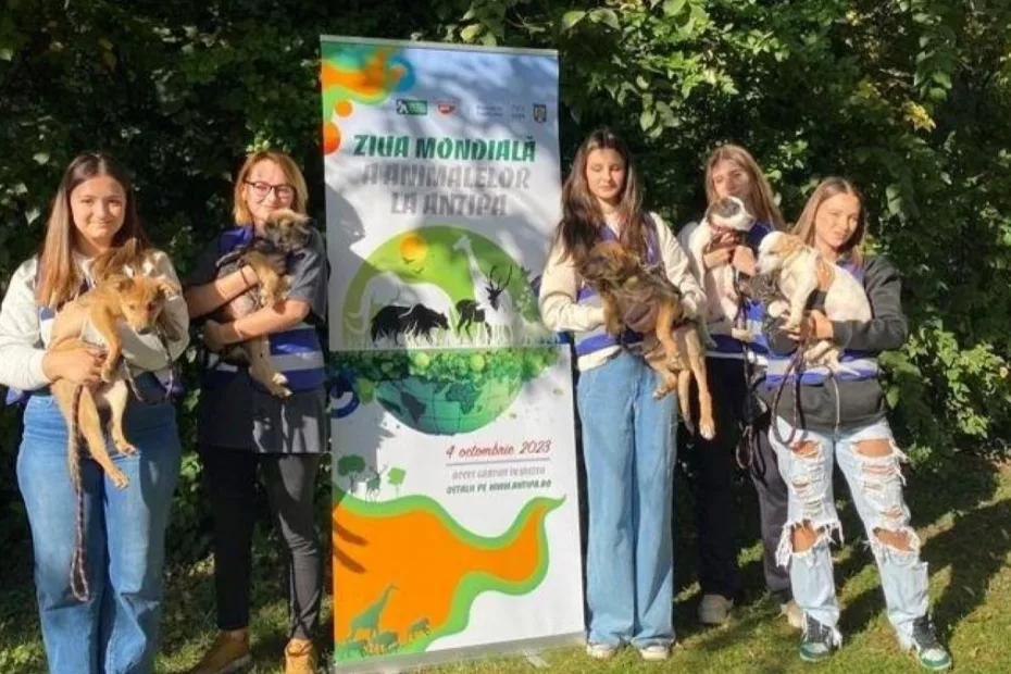 Târg de adopții, de Ziua Mondială a Animalelor, la Muzeul Antipa