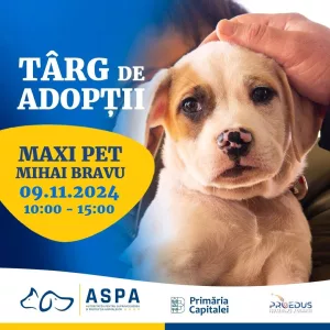 targ de adoptii