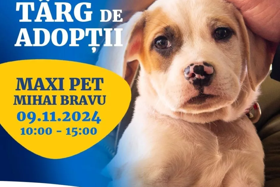 targ de adoptii