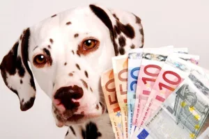 taxa pe animale de companie