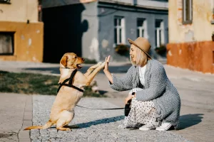 Câți ani are câinele tău în ani umani?